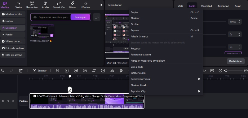 edimakor transcribe vídeos de YouTube