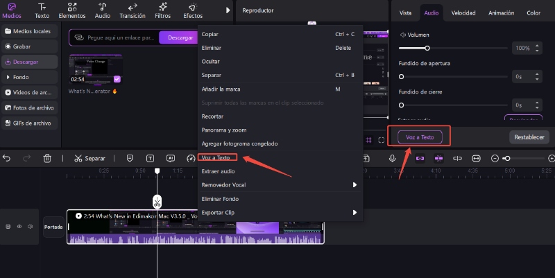 edimakor save transcriptions