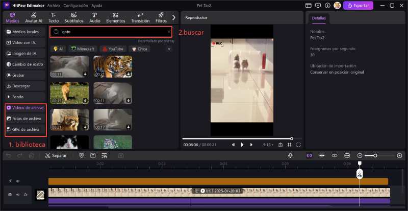 descargar clips de video gratis