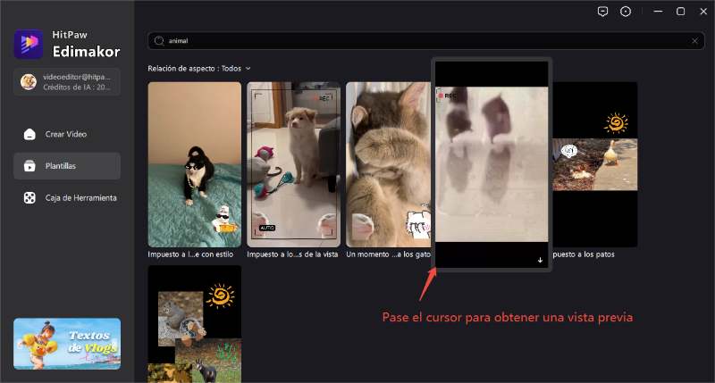 previsualizar plantillas