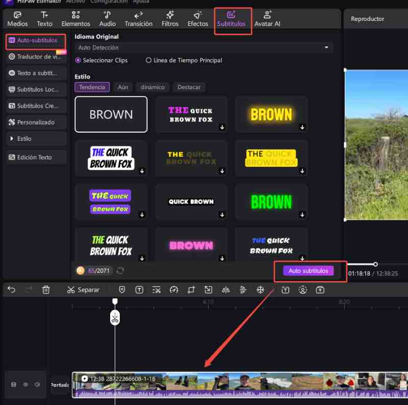 realizar el proceso de subtítulos automáticos